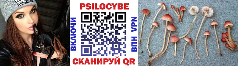 Галлюциногенные грибы Cubensis  гидра вход  Лахденпохья 